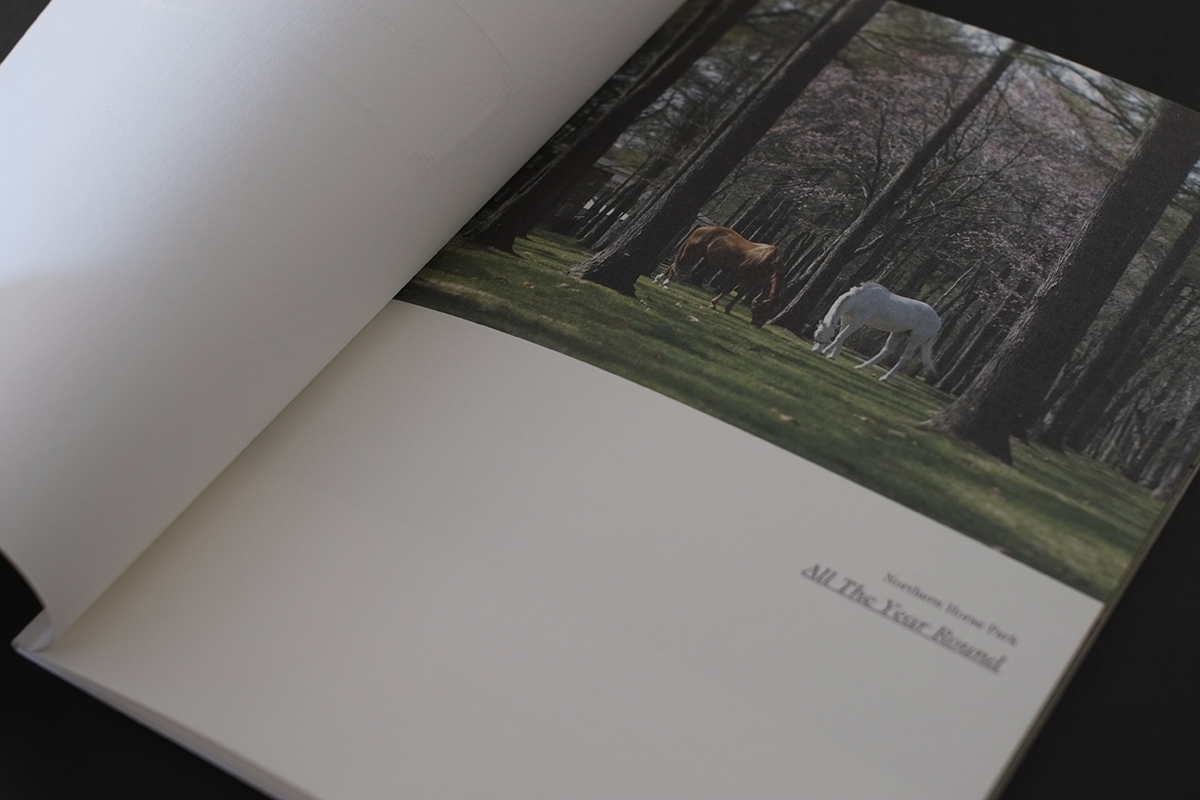 Northern Horse Park Photo Booklet